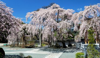 choukokuji