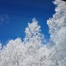 冬ダイニングホールと樹氷